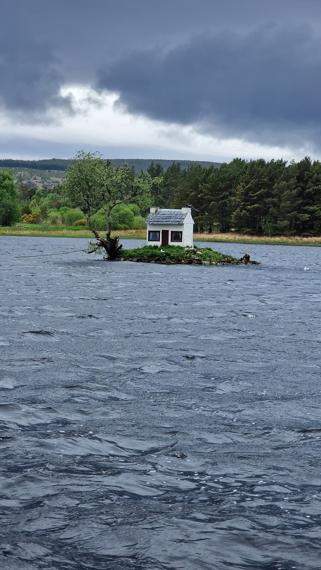 The Wee Hoose