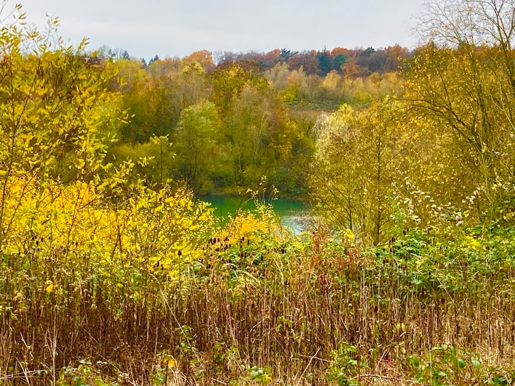 Naturschutzgebiet Vorster Busch