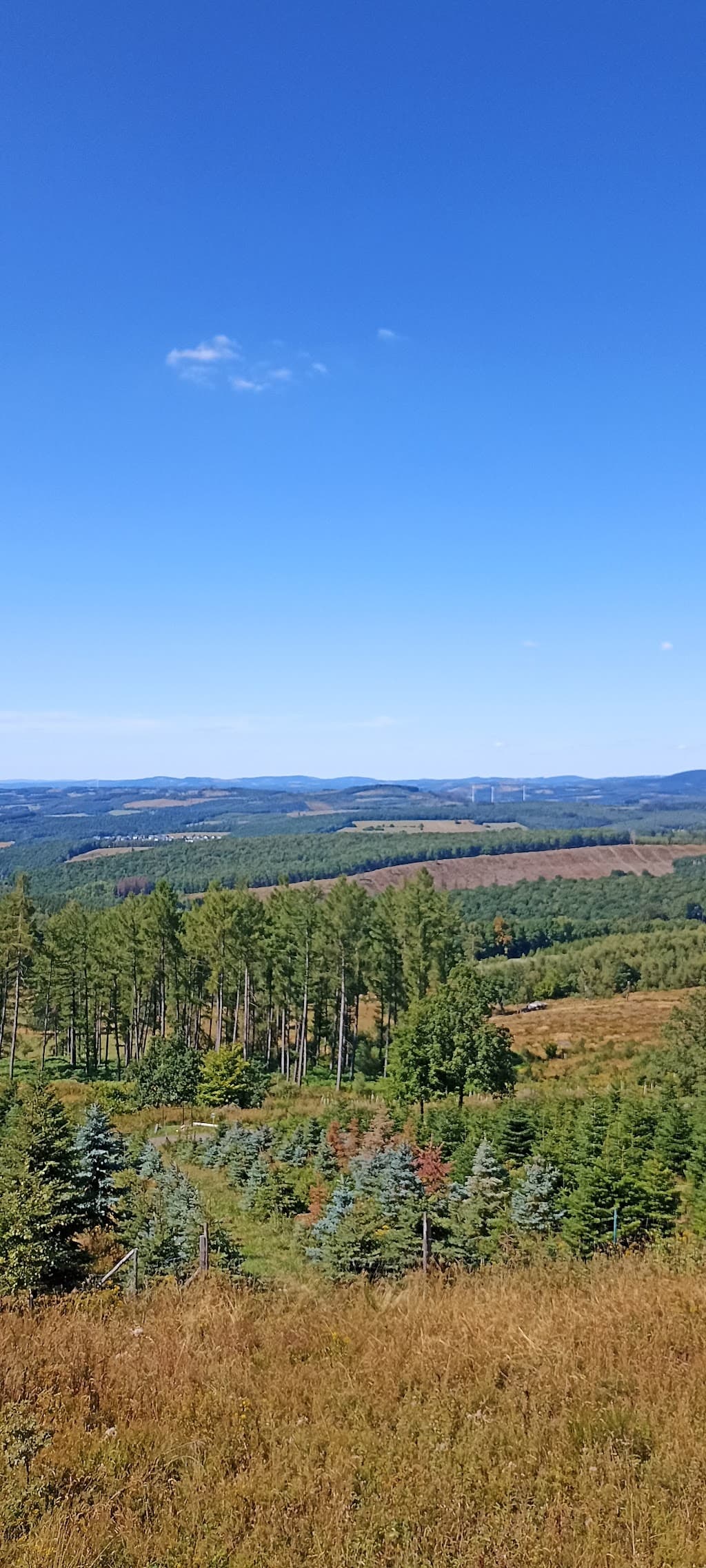 Tiefenrother Höhe