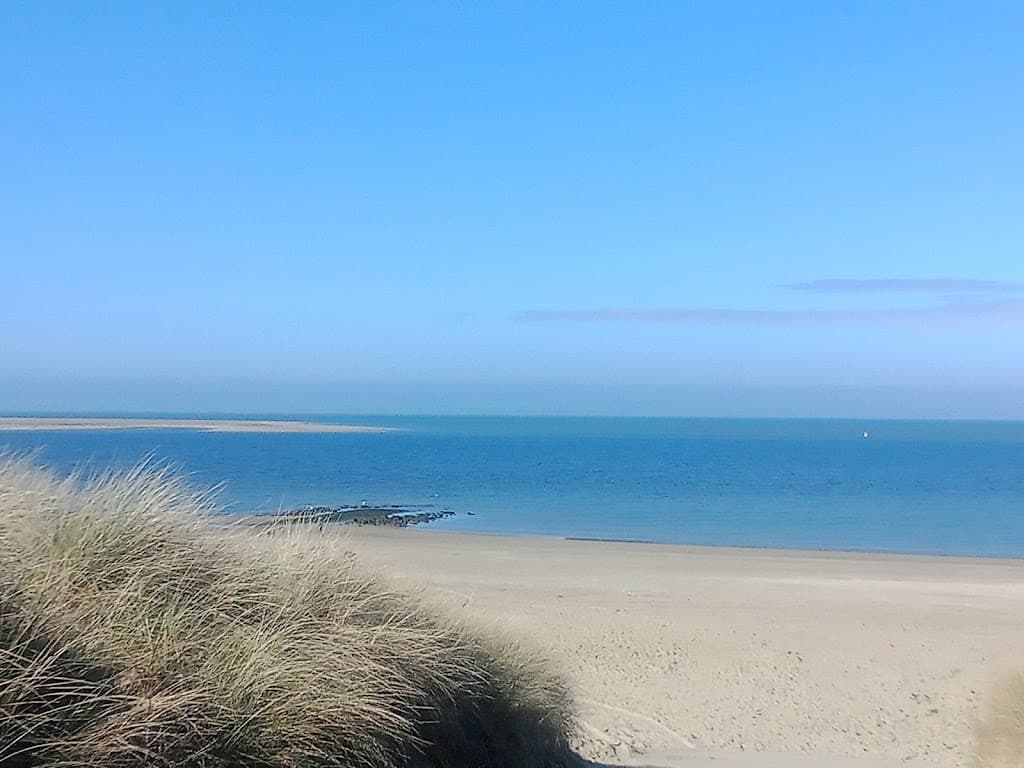 Strand Renesse