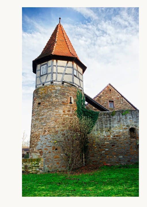 Freihofsgasse