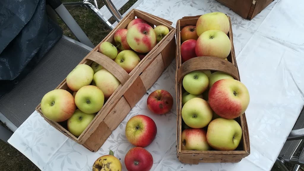 Eden Gemeinnützige Obstbau-Siedlung
