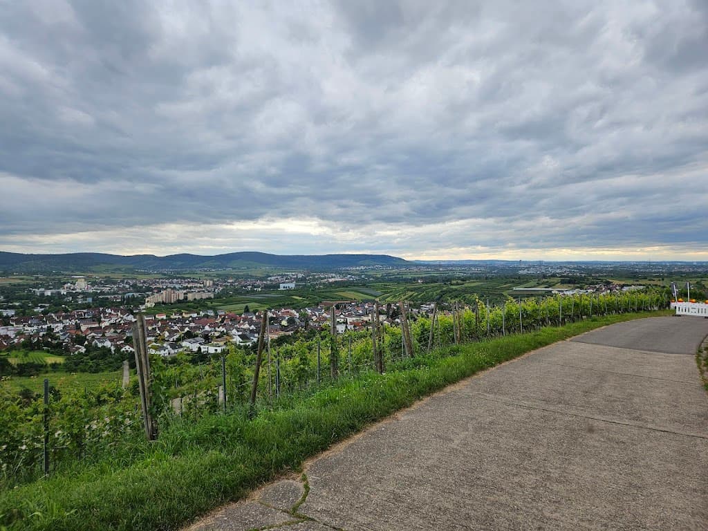 Aussichtspunkt Beutelsbach
