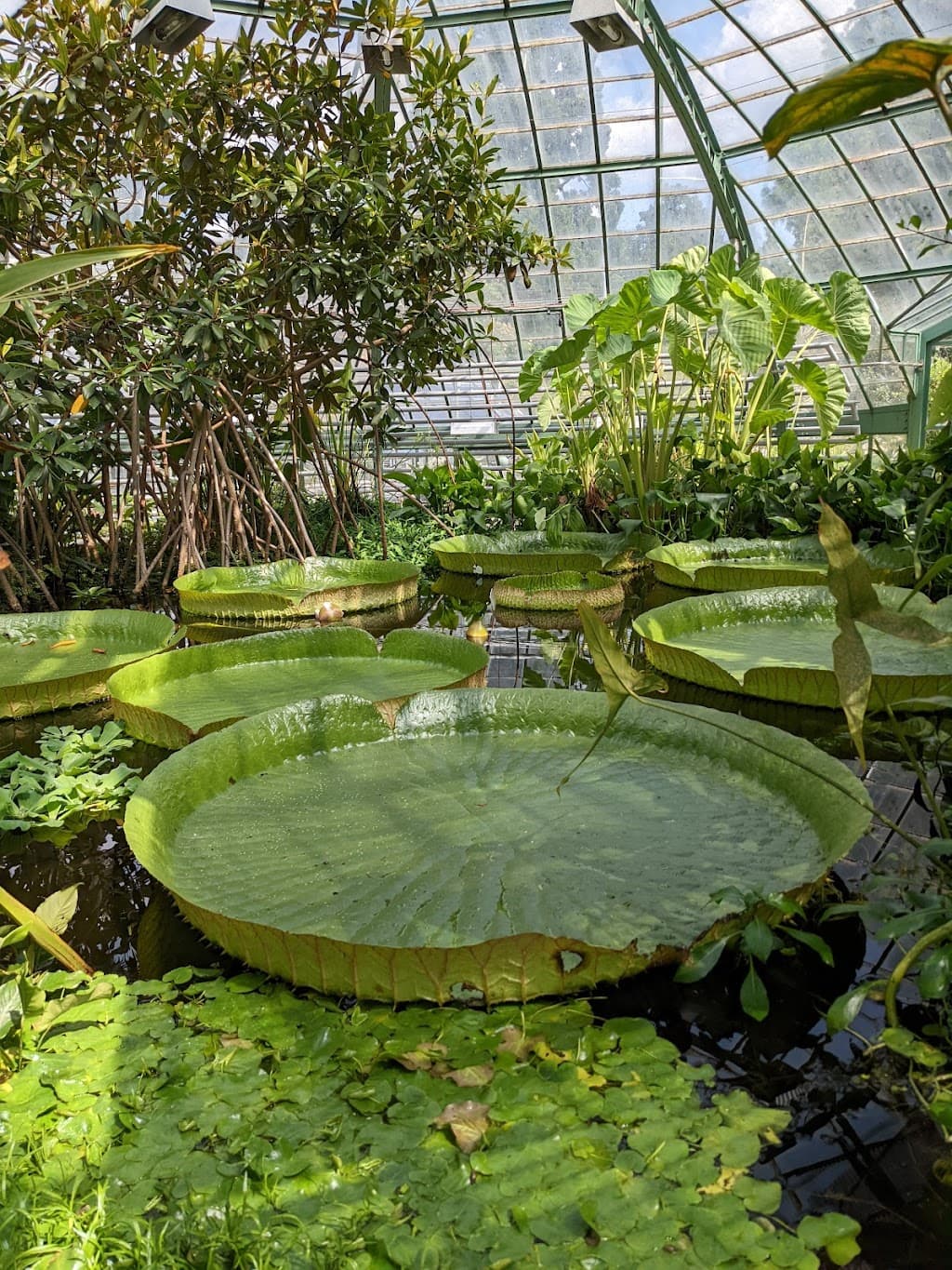 Botanischer Garten der Universität Basel
