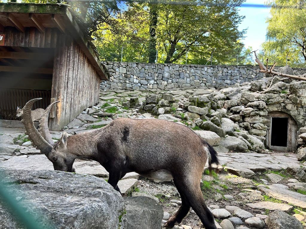 Parc aux animaux du Bois-de-la-Bâtie