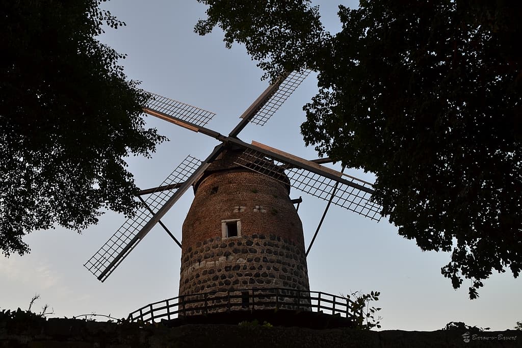 Mühlenturm Zons