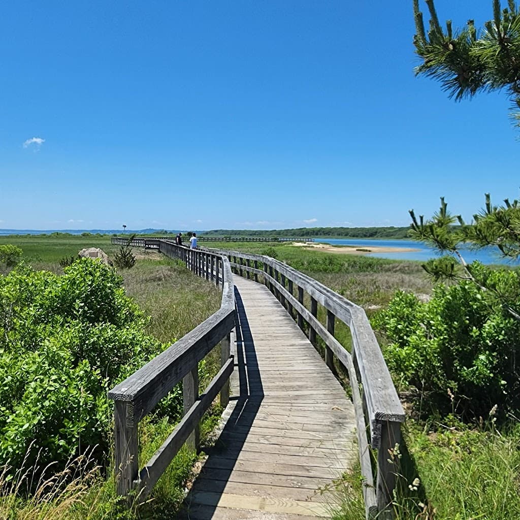 Meadow Lane Boardwalk