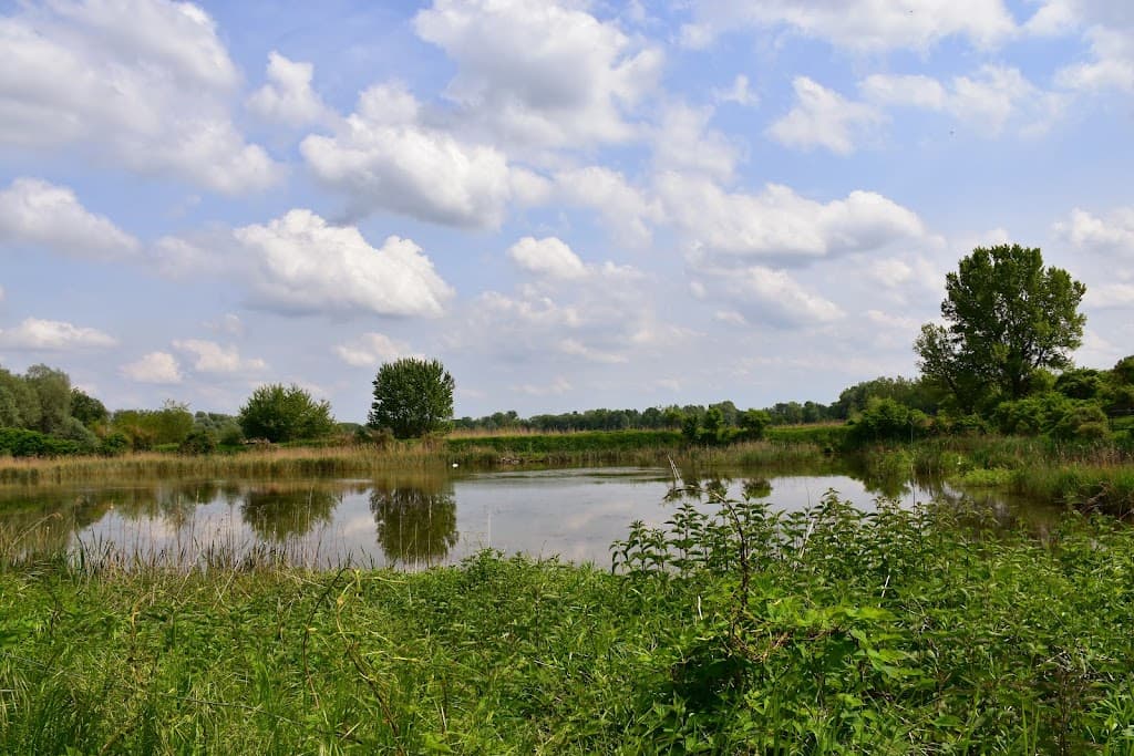 Ormoške lagune