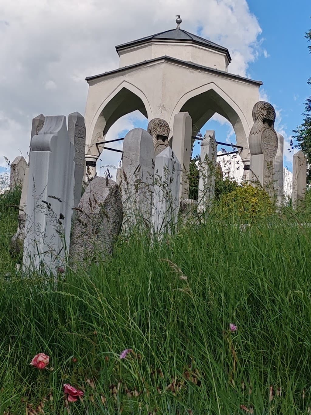 Turbe na Alifakovcu