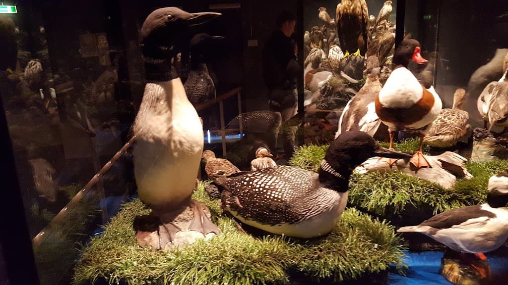 Sigurgeirs Vogelmuseum