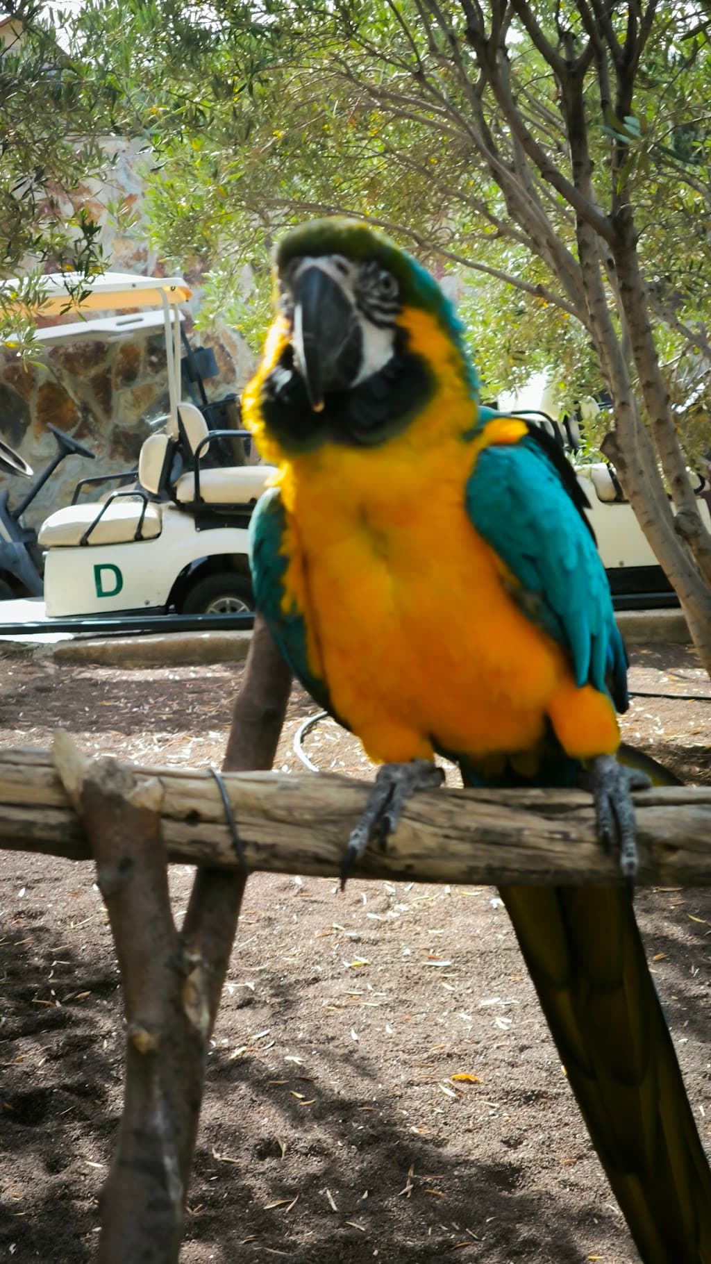 Olivenfinca Gebiet