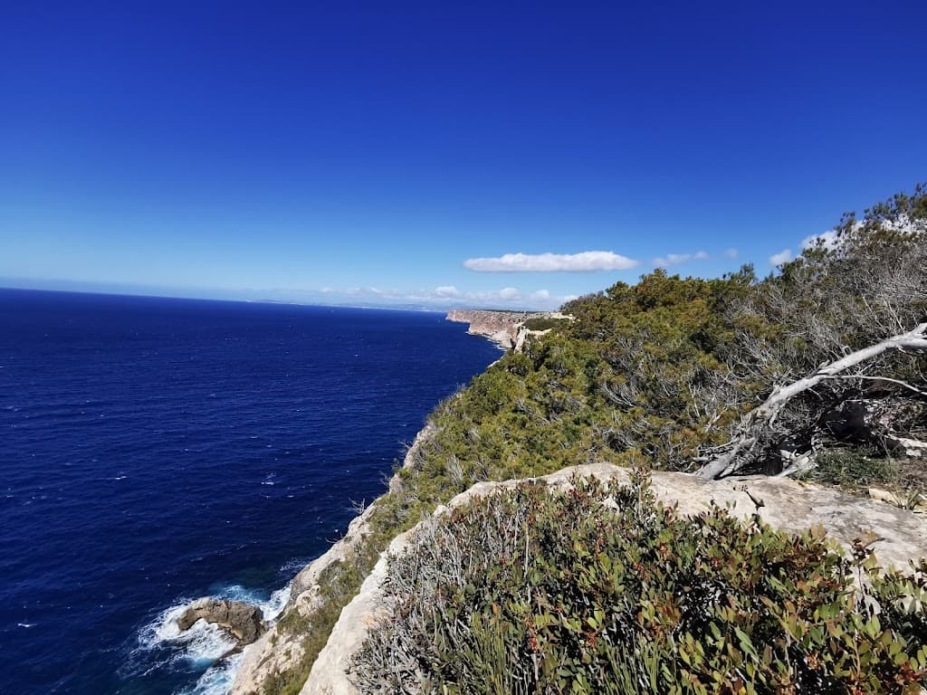 Far de Cap Blanc