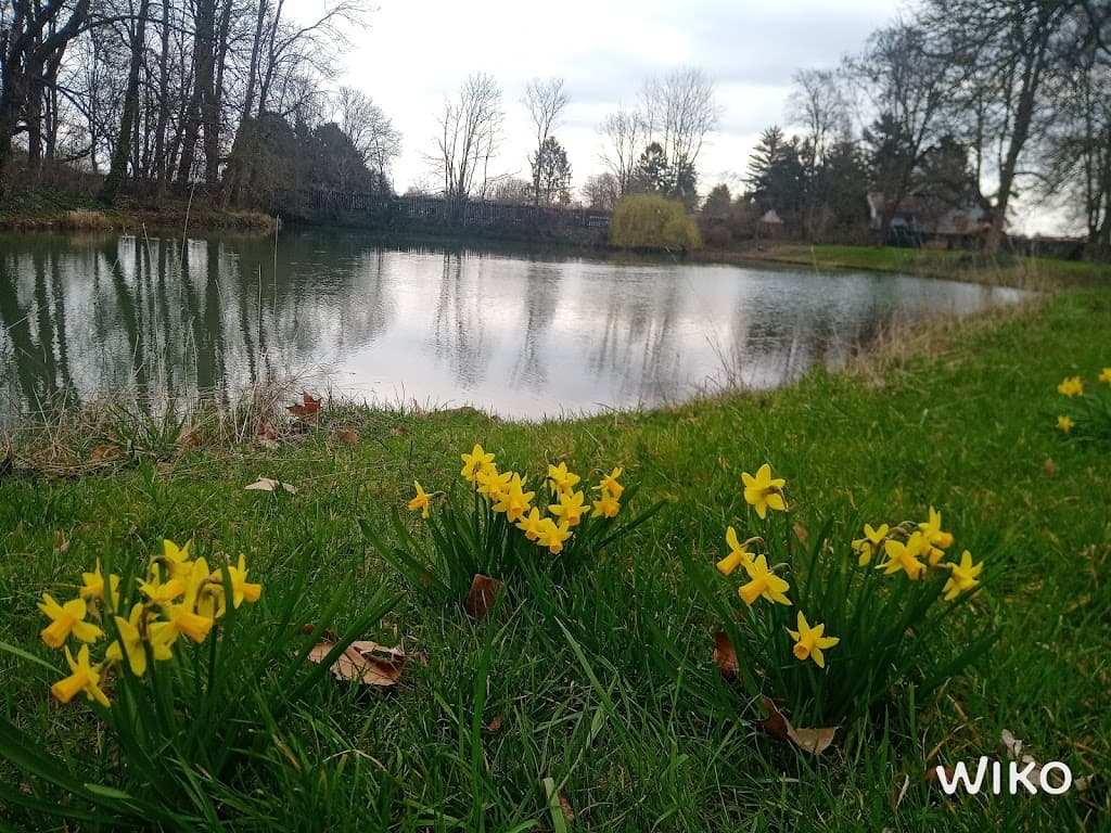 Schlosspark Herrnsheim