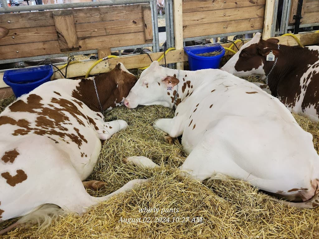 Wisconsin State Fair Park