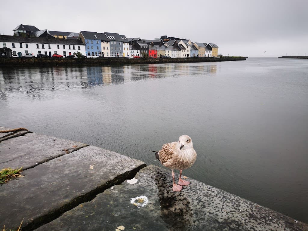 Claddagh Ring Statue
