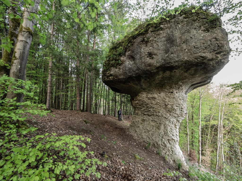 Parasolfelsen