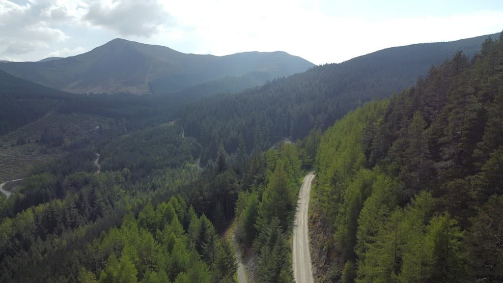 Whinlatter Wald und Whinlatter Pass