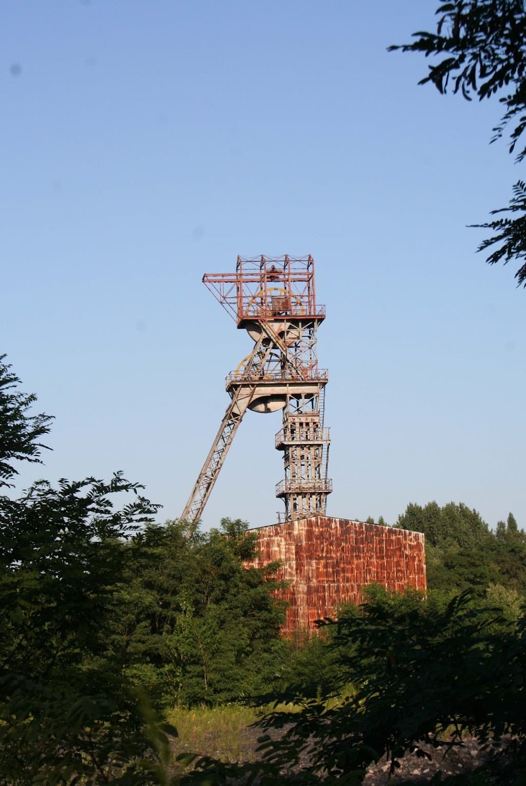 Schacht Mikołaj