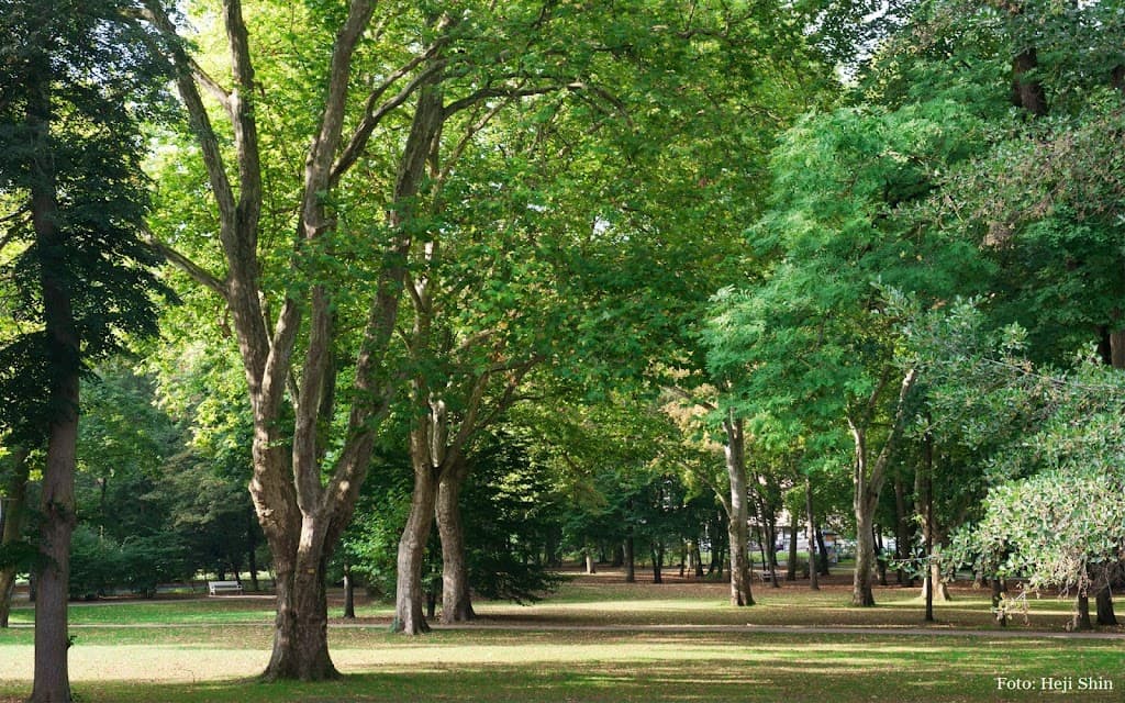 Luitpoldpark