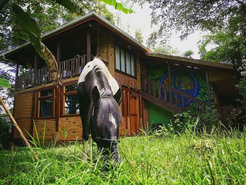 Finca Agroecologica La Flor