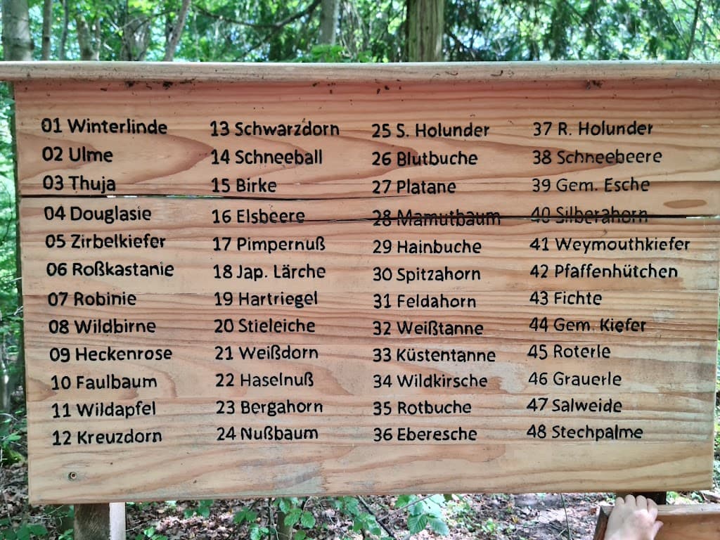Waldentdeckerpfad Schindersklinge
