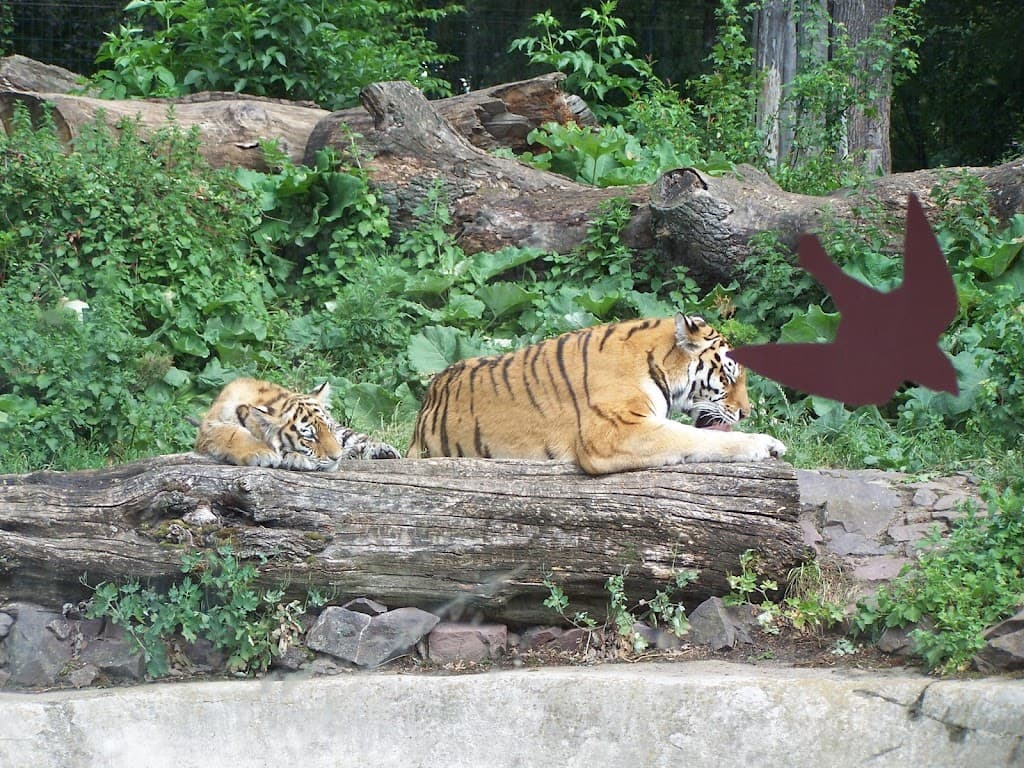 Zoo Magdeburg