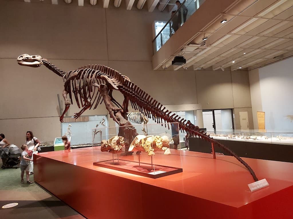 Queensland Museum