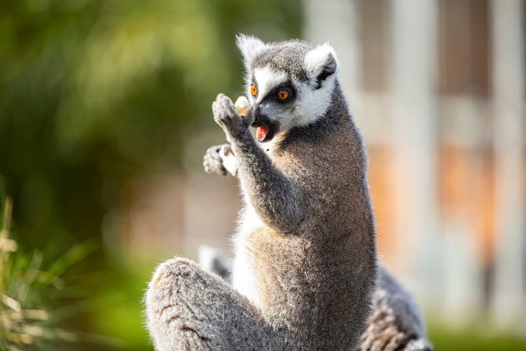 Tierpark Hamm