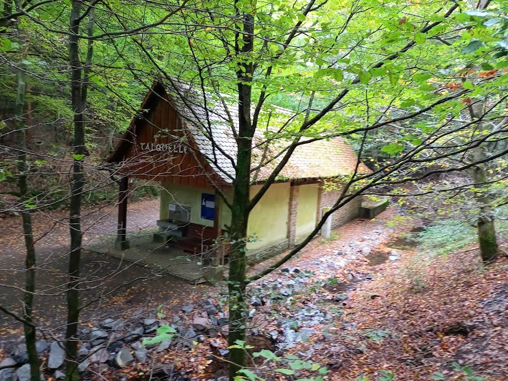 Talquelle Bad Wildungen