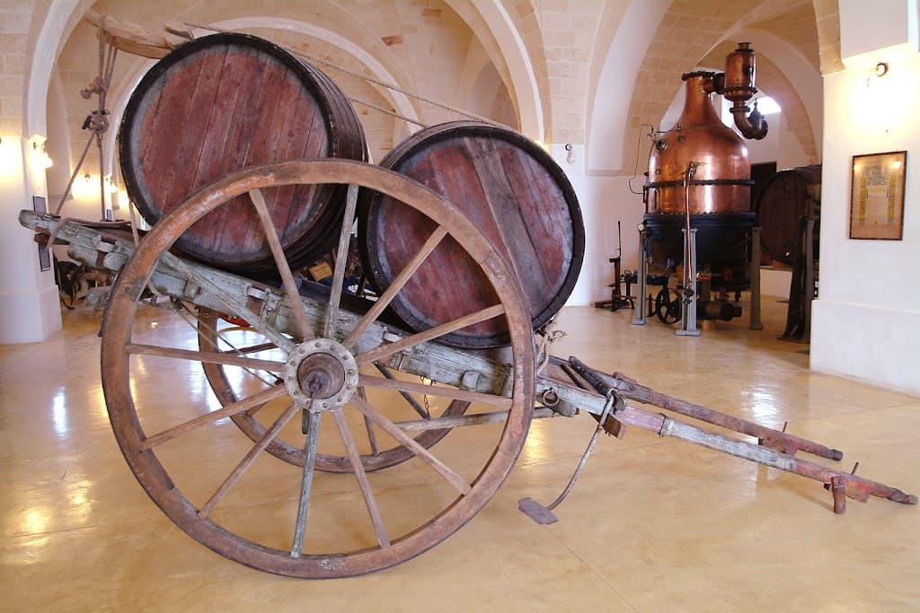 Museo della Civiltà del Vino Primitivo