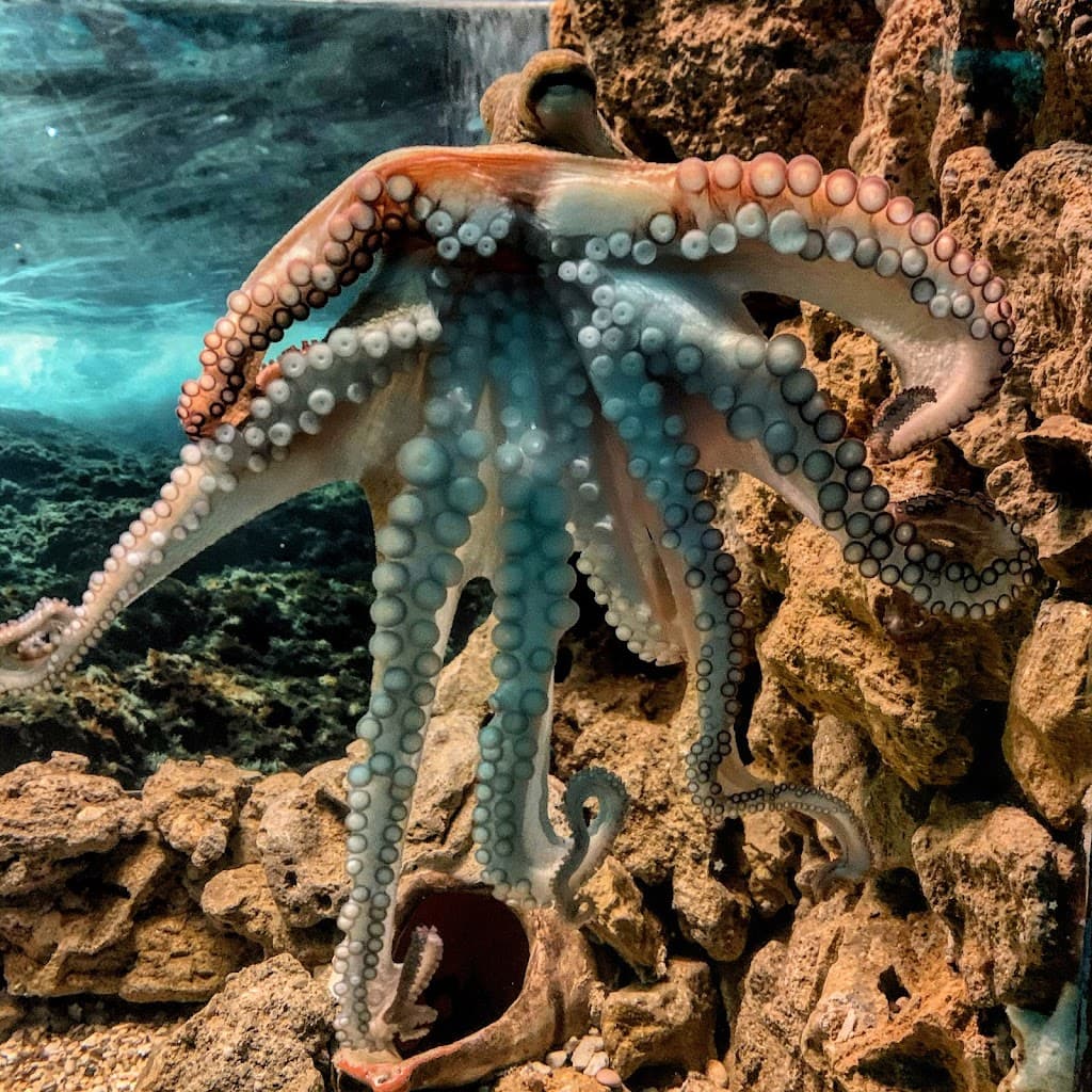Corfu Aquarium